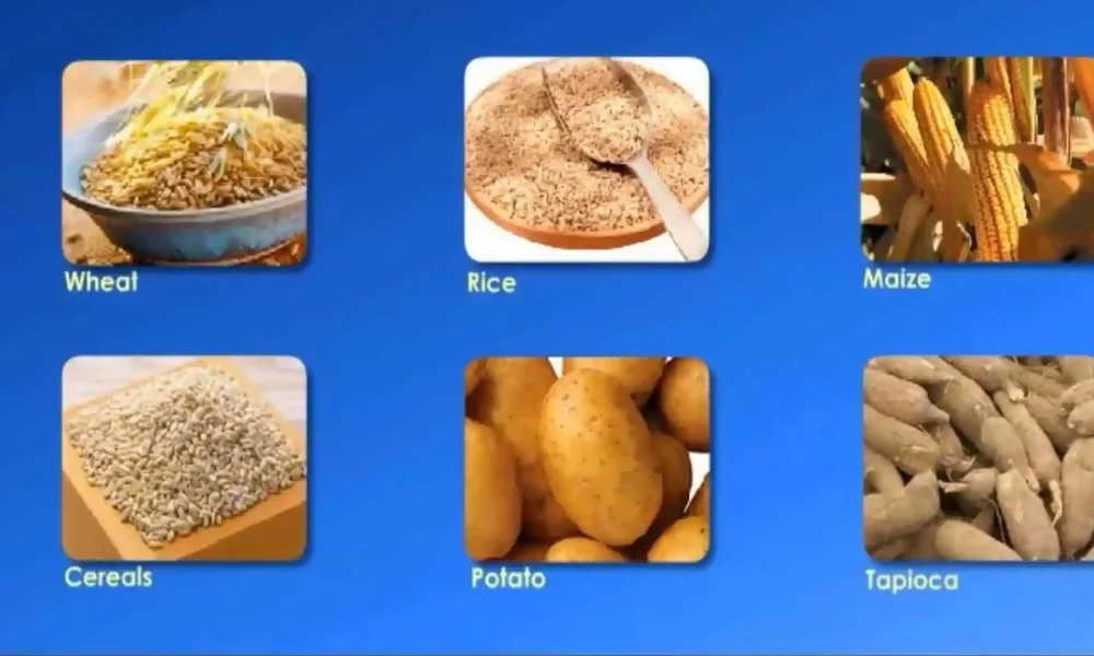 Components of food