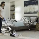 carpet cleaning