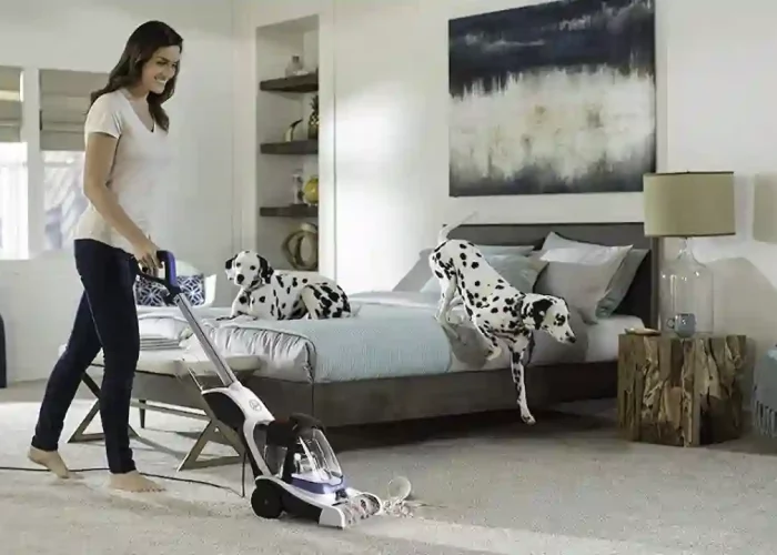 carpet cleaning