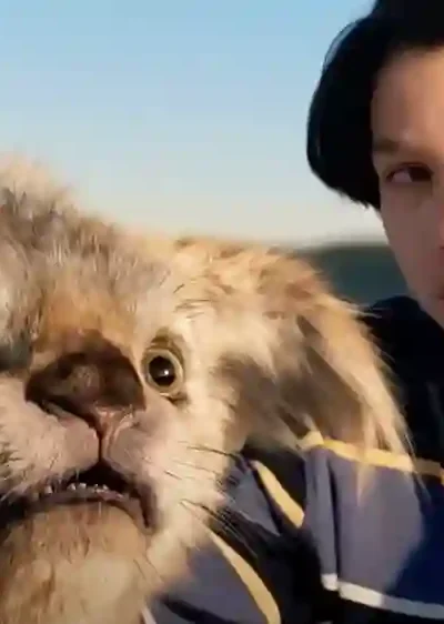 Chupa Movie