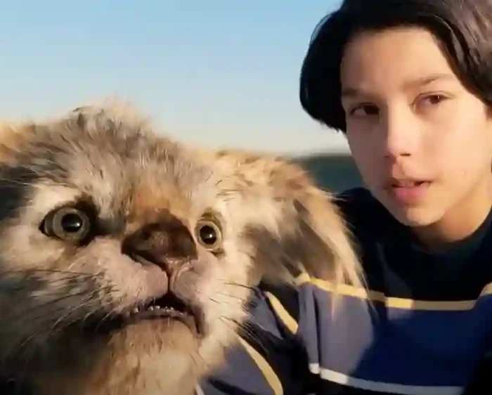Chupa Movie